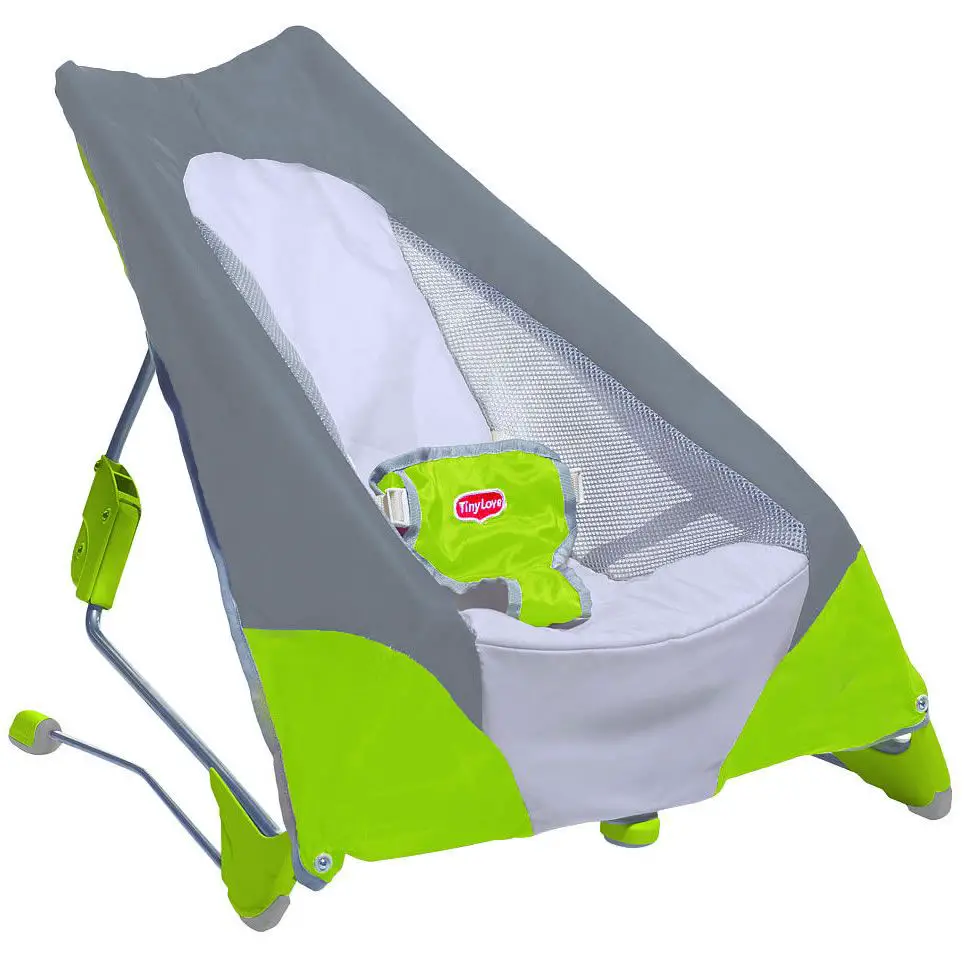 Best Baby Bouncers Reviews and Buyer's Guide