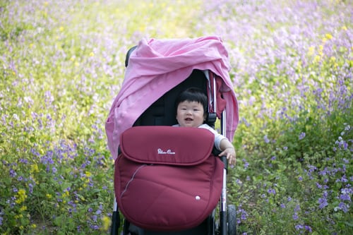 Baby in a stroller