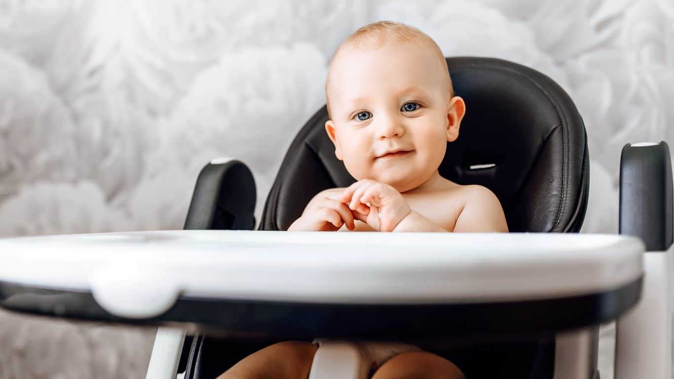 Customer Reviews for High Chairs Vs. Booster Seats Best Mom Products